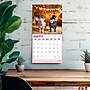 2026 BrownTrout Pigsty 12" x 12"  Monthly, Paper Cover, Pigsty (9798330707263)~#|#~FA4A438C-7BAF-483C-966DE28F9695D992_sc7