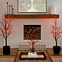 Nearly Natural 2' Pre-Lit Halloween Deluxe Black Twig Artificial Fall Tree with 44 Orange and Purple LED Lights (T4762)~#|#~80FD9647-D858-4096-9A0623FDC551E51D_sc7