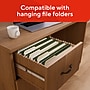 Staples 1/3‑Cut Left‑Tab File Folders, Letter Size, Manila, Durable Paper Stock, 100/Box~#|#~FA6E745D-E19E-4B6B-866F74423CECEBD2_sc7