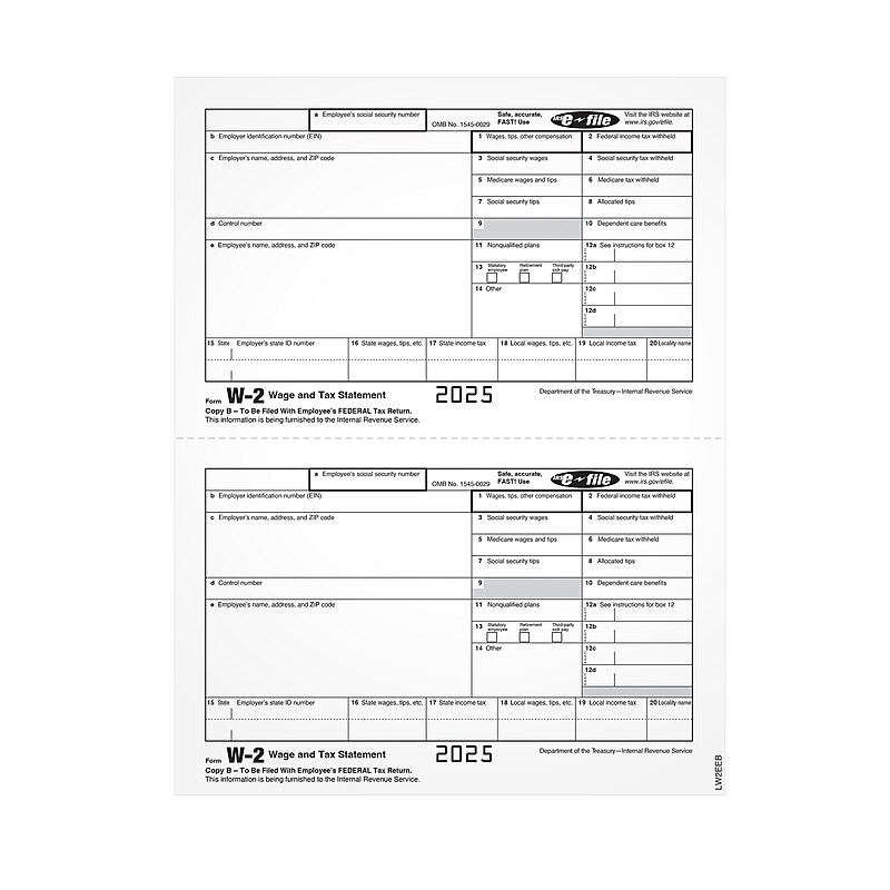 Adams Employee's Copies Cut Sheet 2025 W-2 Tax Form, 1-Part, Copy B, 100/Pack (LW2EEBQ) image 1