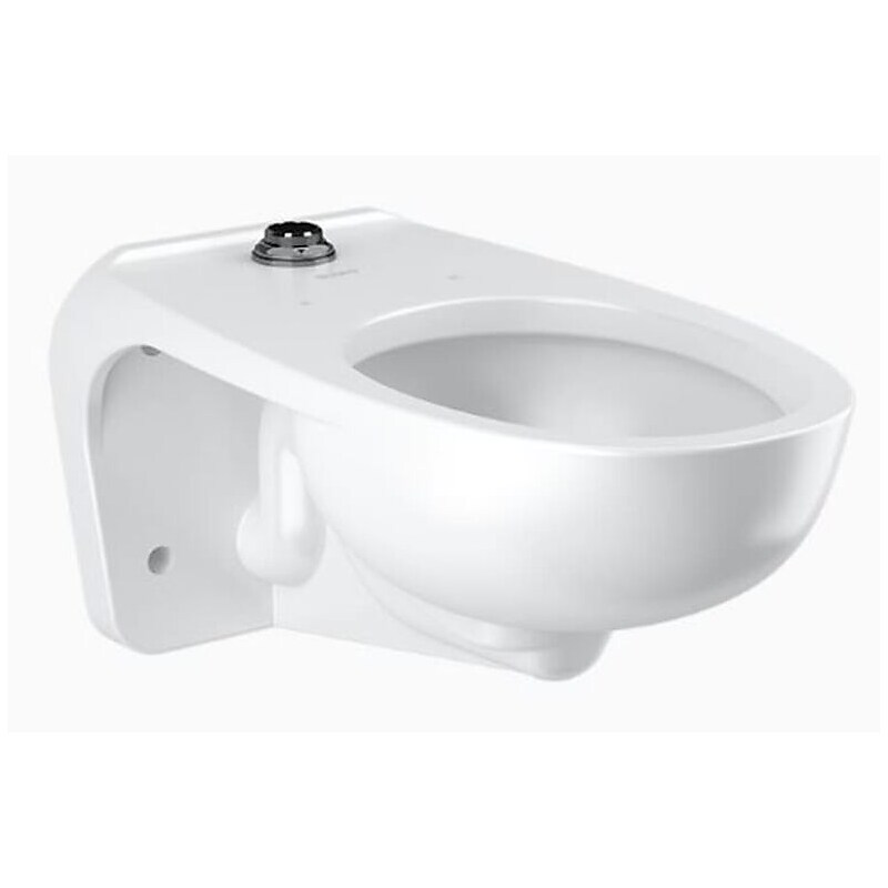 Sloan Wall Mounted Vitreous China Toilet Bowl (2102459) image 1