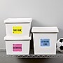 Avery TrueBlock Laser Shipping Labels, 3-1/3" x 4", White, 600 Labels/Box (5164)~#|#~FA8F6A17-ADCD-4158-B206334A5203E0BA_sc7