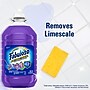 Fabuloso Antibacterial Multipurpose Cleaner, Lavender Scent, 169 Fl. Oz., 3/Carton (61018224CT)~#|#~FA92DF8E-DE6E-4507-93848DF3EB6C453D_sc7