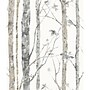 York Wallcoverings Birch Trees Peel and Stick Wallpaper (RMK9047WP)~#|#~FAC86B4D-78A0-45D6-BC62F5AB506C9BCD_sc7