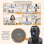 Toucan Video Conference System 360:  360 Degree Panoramic Camera, Conference Speaker, Black (TCSS360KU)~#|#~FAE36DF0-9AE1-4CFB-BE3915684B91BF4F_sc7