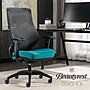 Beautyrest Duo-EX Ergonomic Mesh Swivel Computer Chair, Teal (60051-TEL)~#|#~FAF36D53-F23B-4EDC-B4A5282B7C9BDE40_sc7