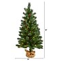 Nearly Natural 3-ft. Fraser Fir Natural Look Pre-Lit Artificial Christmas Tree, 50 Lights (T1993)~#|#~FB149828-3D23-41FD-A01A2198701BAB0D_sc7
