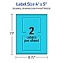 Avery Rectangle Multipurpose Labels, 4" x 5", Bright Blue, 20/Pack (94253)~#|#~FB5CF0FC-75E5-49AA-BAE448330737C057_sc7