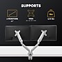 Fellowes Platinum Series Adjustable Dual Monitor Arms, Up to 40" Monitor, Silver (8056501)~#|#~FB8B6283-DC66-4B6B-89A9B396910FBE1E_sc7