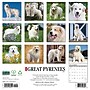 2027 Willow Creek Great Pyrenees  12" x 12" Monthly Wall Calendar (60551)~#|#~FB98E12B-ABE1-4721-8F4D4D5E5E812438_sc7