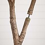 Nearly Natural 8' Autumn Maple Artificial Fall Tree (T4811)~#|#~FBA5CF21-405D-4909-953EB16994D2A434_sc7