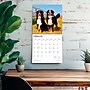 2026 BrownTrout Bernese Mountain Dogs 12" x 12" Monthly Wall Calendar (9798330702398)~#|#~FBBDBCA1-7208-46E2-B8492AD2E433A786_sc7