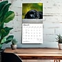 2027 BrownTrout Black Labrador Retriever Puppies 12" x 12" Monthly Wall Calendar (9798330712526)~#|#~FC0204AD-69F2-4760-A21B686EDD5B2838_sc7