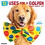 2027 Willow Creek 12 Uses for a Golden 12" x 12" Monthly Wall Calendar, Assorted Colors (58589)~#|#~FC0A3C30-C6B9-490F-AD364704415AD733_sc7