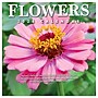 2026 TF Publishing 12" x 17" TF Publishing 7" x 7" Flowers Mini Calendar 26-2014~#|#~FC0A636D-E29A-4DCD-91B2D6EB24623977_sc7