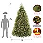 National Tree Company Dunhill Fir Artificial Christmas Tree (DUH3-300P-90)~#|#~FC15F4E4-7FB4-4E0A-A049FC85F14D361E_sc7