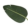 Monarch Specialties Inc. 60" Artificial Bird Of Paradise Tree in Pot (I 9570)~#|#~FC1E3653-E7EE-4085-A6C4A4BFD247643D_sc7