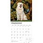 2026 BrownTrout Great Pyrenees 12" x 12" Monthly Wall Calendar (9798330703531)~#|#~FC4349D0-28E4-4A48-B1BA9550B9129B37_sc7