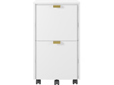 Whalen Breenly 2-Drawer Mobile Vertical File Cabinet, Letter/Legal Size, 28″H x 16″W x 20.63″D, Off-White/Gold (SPUS-BRMF-WH) Sansujyuku sansujyuku.com