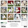 2026 Willow Creek Great Pyrenees 12" x 12" Monthly Wall Calendar (51375)~#|#~FC59A2FB-3D48-465D-8CF311B0B008706C_sc7