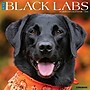 2026 Willow Creek Black Labs 12" x 12" Monthly Wall Calendar (50316)~#|#~FC67FDBA-8107-4494-95A4F22CFEA04669_sc7