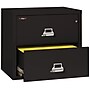 FireKing 1 Hour Fire Resistant Classic 2-Drawer Lateral File Cabinet, Letter/Legal, Black, 31.19"W, Dock to Dock (2-3122-CBL)~#|#~FC73445D-66B1-4783-894658A71036128E_sc7