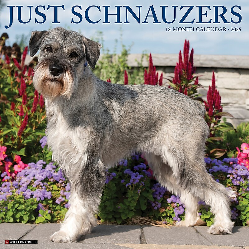 2026 Willow Creek Schnauzers 12" x 12" Monthly Wall Calendar (52686) image 1