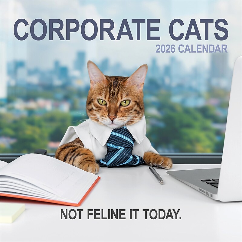 2026 TF Publishing Corporate Cats 12" x 12" Monthly Wall Calendar, Multi (26-1005) image 1