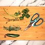 Westcott Kitchen 6.5" Titanium Heavy Duty Kitchen Shears, Pointed Tip, Teal (00829)~#|#~FCB9EC4D-34A1-46FA-A4F9D124B9662A4A_sc7