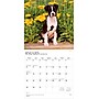 2026 BrownTrout Chiots 12" x 12" Monthly Wall Calendar (9798330707386)~#|#~FCBB4396-2652-4A88-AF9A046DFAA2F115_sc7