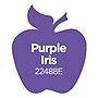 Apple Barrel Acrylic Paint Matte, 16oz., Purple Iris, 3/Pack(APP22488E-3)~#|#~FCBEE06F-03E0-4BE2-94FE8EFDBEF87819_sc7