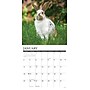 2026 Willow Creek Bunnies 12" x 12" Monthly Wall Calendar (50446)~#|#~FCD56AB0-8767-4463-95DAA61B732931A4_sc7
