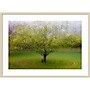Amanti Art The Cat by the Tree by Arne Ostlund Wood Framed Wall Art Print, 41" x 30" (A42675535519)~#|#~FCEE0092-3A98-47EE-B3A7407950189788_sc7