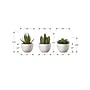 Monarch Specialties Inc. 6" Artificial Succulent Plant in Pot, 3/Set (I 9555)~#|#~FD025F72-A858-4643-89B9E3BD0D4A551C_sc7