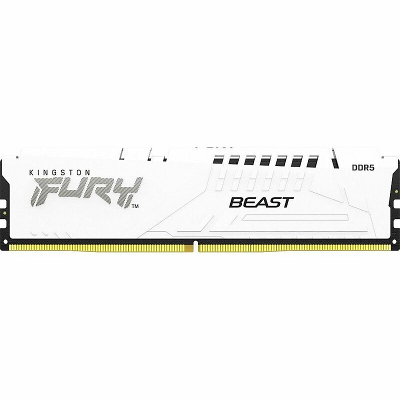 Kingston FURY Beast 16 GB DDR5 SDRAM Memory (KF556C40BW-16) image 1