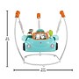 Fisher-Price 2-in-1 Sweet Ride Jumperoo Activity Center  (GPN16)~#|#~FD1A60E2-5DD4-425B-8CE29D72E8CEE204_sc7