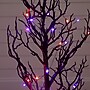 Nearly Natural Pre-Lit Artificial Halloween Black Spooky Twig Tree, 3' (T5234)~#|#~FD24FF65-6629-489D-B4040C683F8A1E7B_sc7