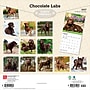 2027 BrownTrout Chocolate Labrador Retrievers 12" x 12" Monthly Wall Calendar (9798330712564)~#|#~FD276D5C-DA06-4A9D-AB92BB45B1B29F03_sc7