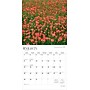 2026 BrownTrout Texas Nature 12" x 12" Monthly Wall Calendar (9798330705801)~#|#~FD31561D-B386-4CD9-A3E72CDEDA7DF837_sc7