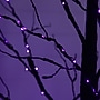 Nearly Natural Pre-Lit Halloween Black Twig Artificial Tree, 8' (T5169)~#|#~FD3F683E-5B4D-490B-B4ED895BC5B3C137_sc7