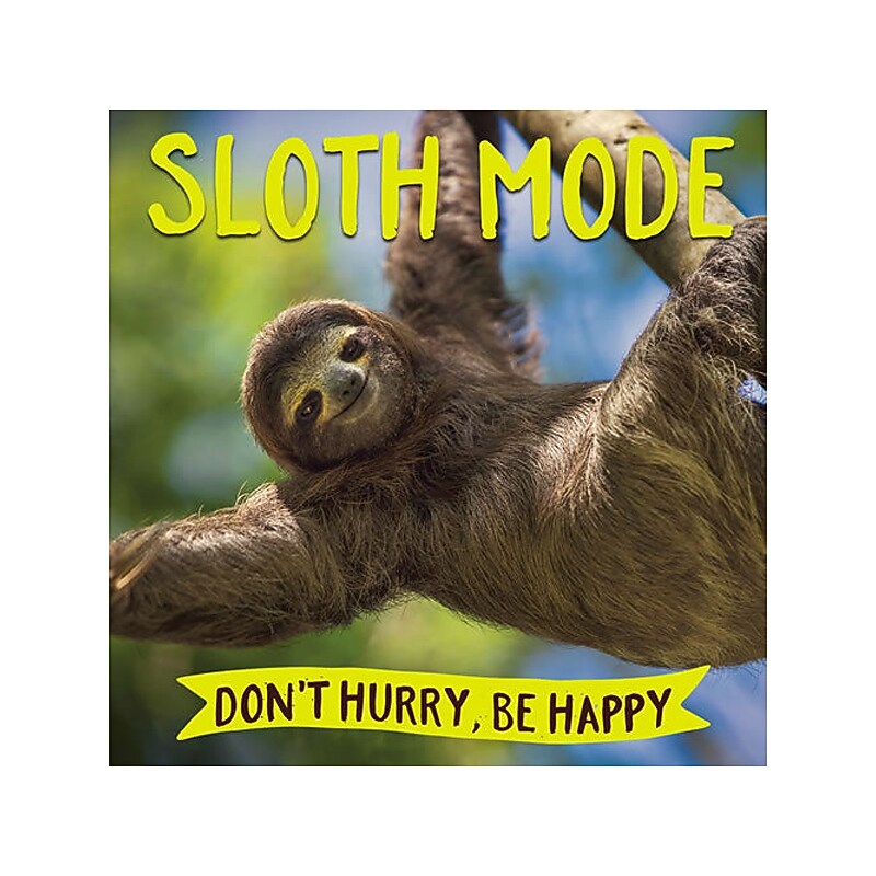 Sloth Mode, Hardcover image 1