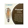 Viribright 5-Watts Warm White LED Decorative Bulb, 6/Box (641350-6)~#|#~FD77E673-B306-4310-8EC26C583FA55565_sc7