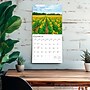 2026 BrownTrout Sunflowers 12" x 12" Monthly Wall Calendar (9798330705696)~#|#~FD9261B8-18F2-4BF5-92DC3F2DB1EEC98A_sc7