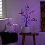 Nearly Natural Pre-Lit Artificial Halloween Black Spooky Twig Tree, 2' (T5230)~#|#~FD9B5A86-9F22-47F2-9820FD6B9B347834_sc7