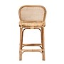 bali & pari Adrena Bohemian Natural Rattan Counter Stool, Natural (225-13070-HiT)~#|#~FDDB4F17-5710-46BC-8EDF3B8193CAEA34_sc7