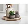 Monarch Specialties Inc. 8" Artificial Succulent Plant in Pot, 2/Set (I 9364)~#|#~FDE8E069-37A9-482E-878583DCA4218B4B_sc7