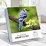 2027 TF Publishing Birds: Backyard 5.25" x 5.25" Daily Day-to-Day Calendar, Multicolored (27-3068)~#|#~FDF0E489-326C-433D-A25B6297EC652678_sc7