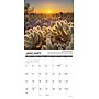2027 Willow Creek Arizona 12" x 12" Monthly Wall Calendar, Assorted Colors (58824)~#|#~FDF13CBA-104F-4369-8AA059F668CD3D04_sc7