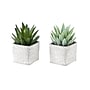 Monarch Specialties Inc. 8" Artificial Succulent Plant in Pot, 2/Set (I 9363)~#|#~FDFCC254-A1D6-4236-9C708411EB94DB5A_sc7