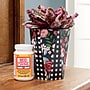 Mod Podge Decoupage Glue, Matte, 8oz., 3/Pack (MODCS11301-3)~#|#~FE017593-92CE-46F4-9A8A747AB3241097_sc7